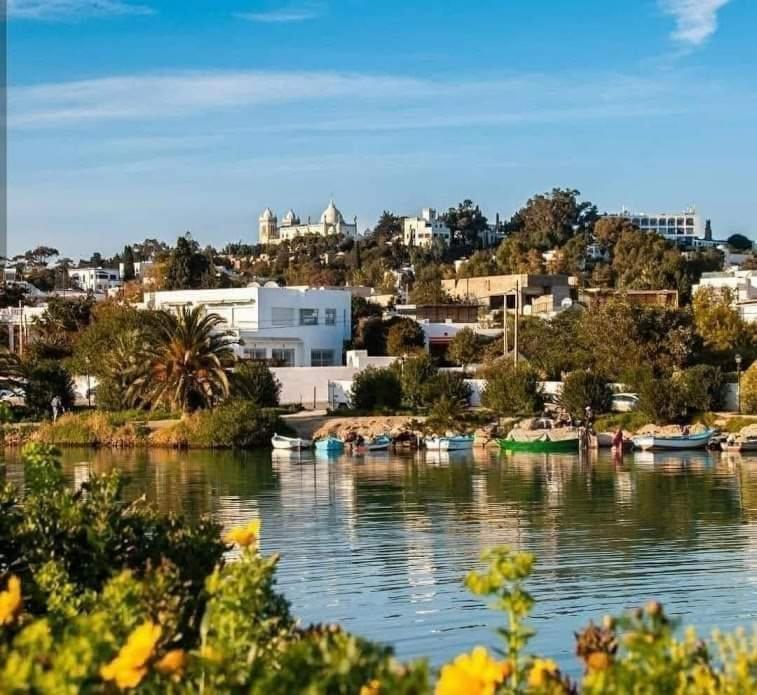 Appartement A Carthage Byrsa 외부 사진