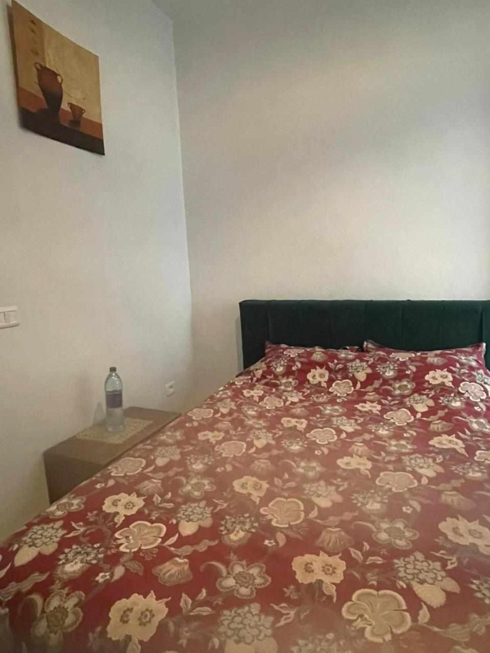 Appartement A Carthage Byrsa 객실 사진
