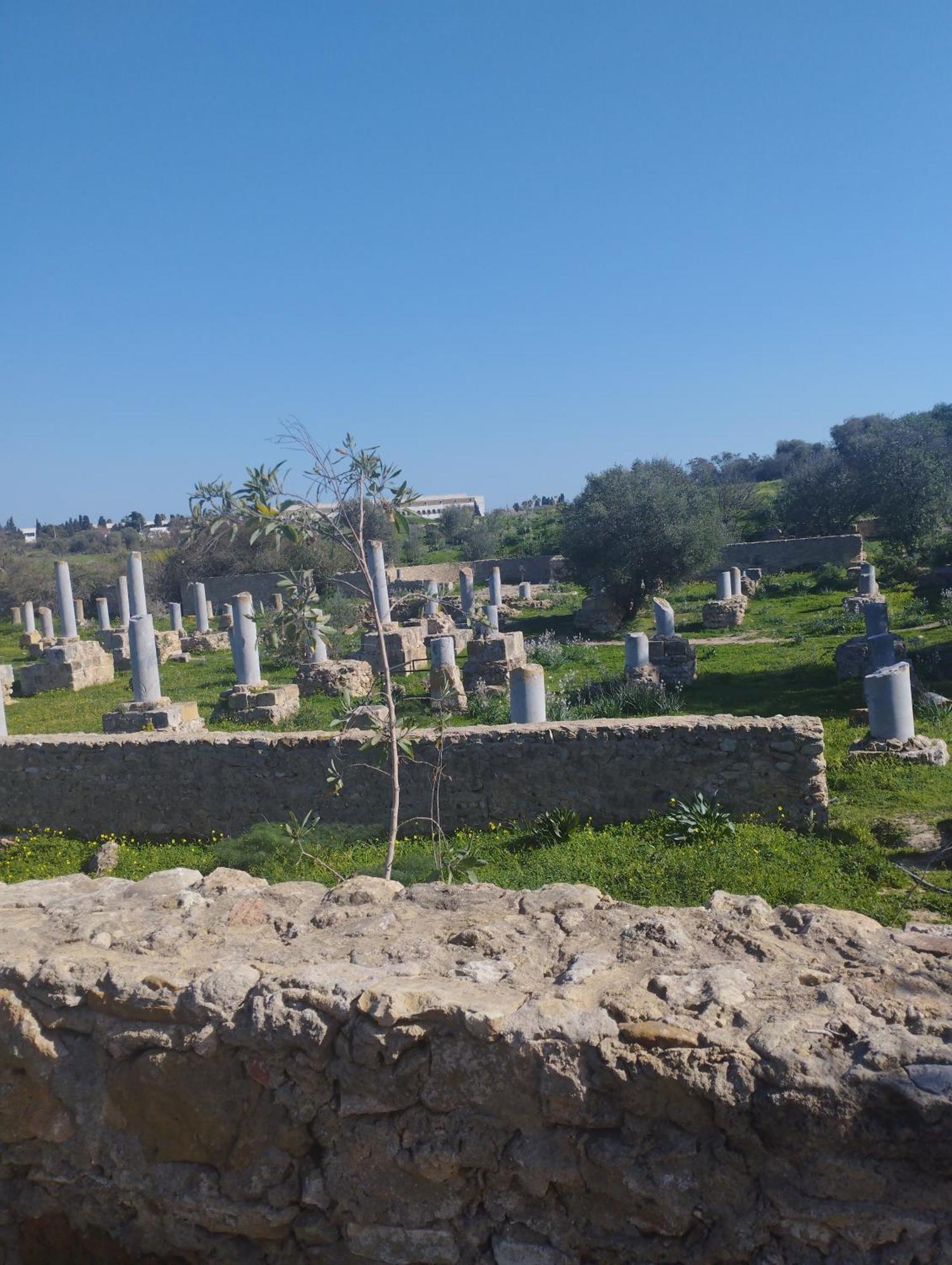 Appartement A Carthage Byrsa 외부 사진